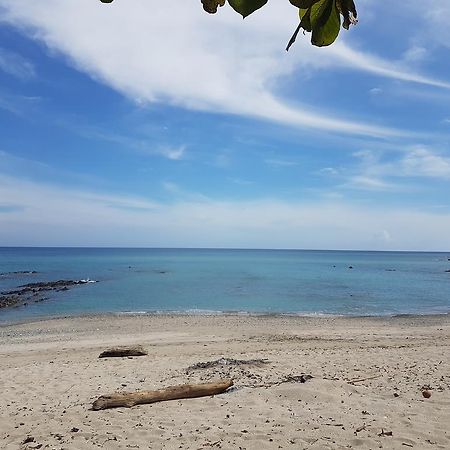 Pura Vida House Cabo Blanco Villa Nicoya Eksteriør bilde