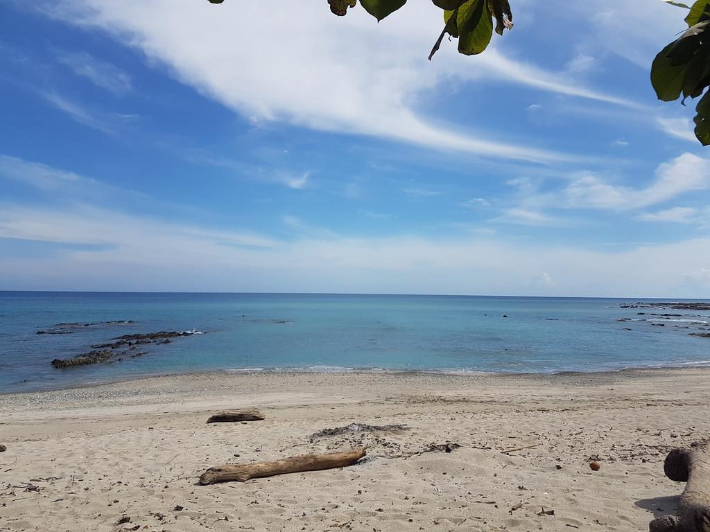 Pura Vida House Cabo Blanco Villa Nicoya Eksteriør bilde